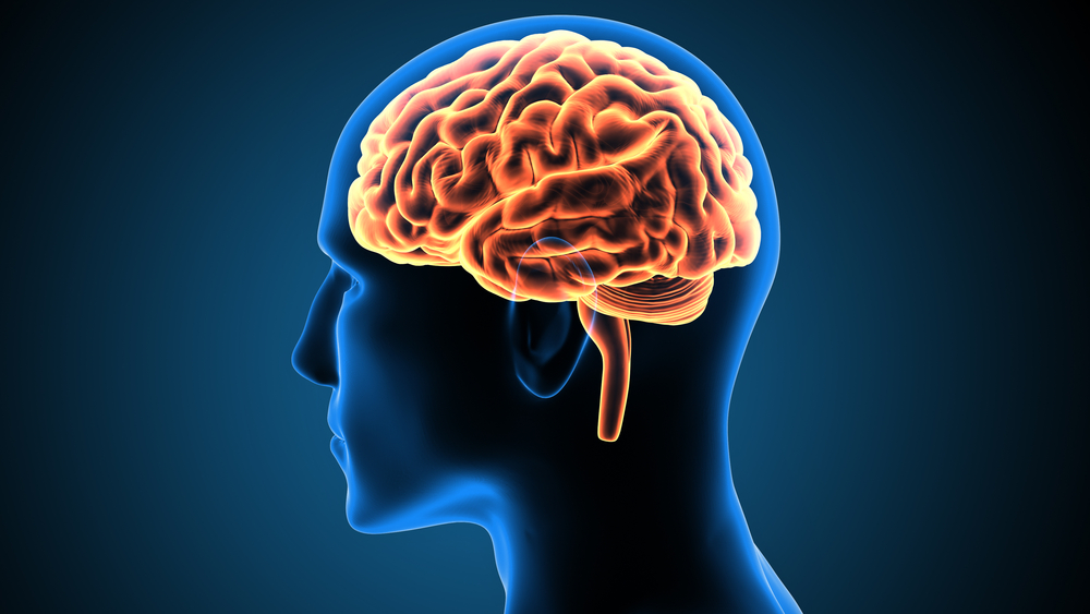 5 Facts That You Didn't Know About the Human Brain | NeuroSpine Surgical  Consultants